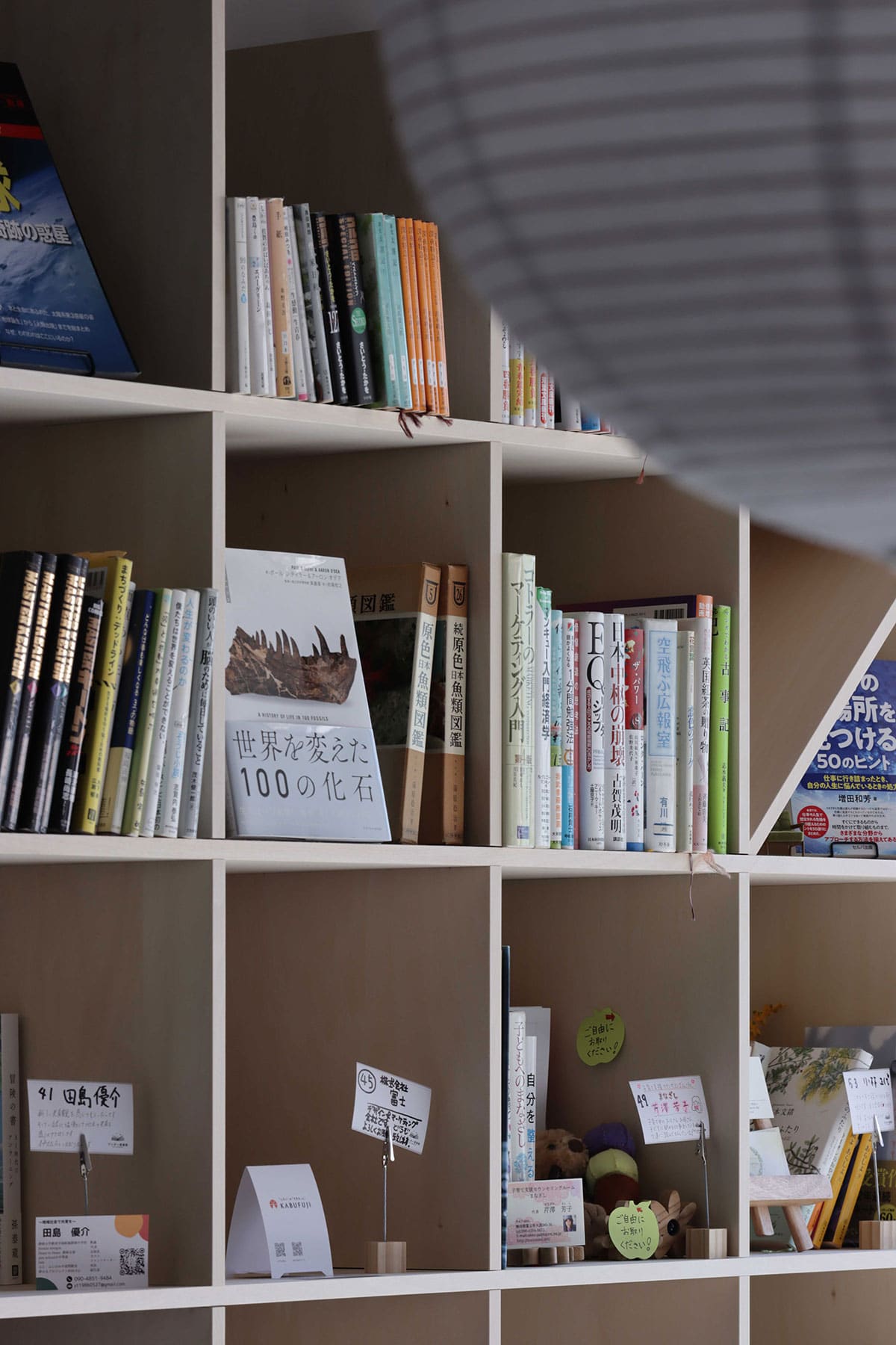 富士ワンダー図書館 - Shelf 壁一面の本棚 奥行350mm - マルゲリータお客様事例