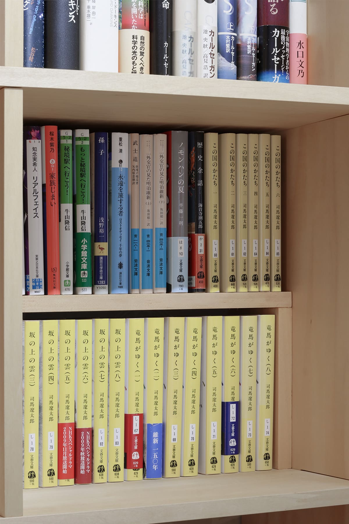 書斎の本棚 - Shelf 壁一面の本棚 奥行250mm - マルゲリータお客様事例